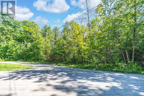 38 Lasalle Trail, Tiny, ON 