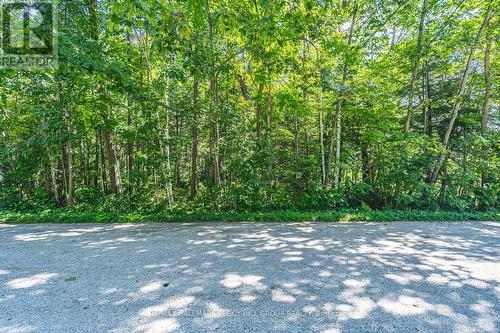 38 Lasalle Trail, Tiny, ON 