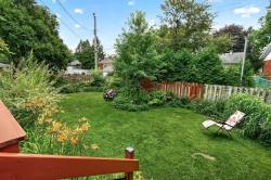 Courtyard - 
