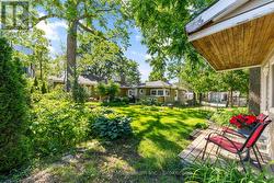 Backyard - 