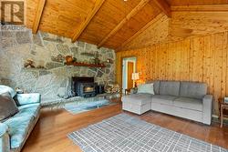 Cozy wood-burning fireplace with stone surround - 