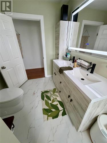 26 Third Avenue, Deer Lake, NL - Indoor Photo Showing Bathroom