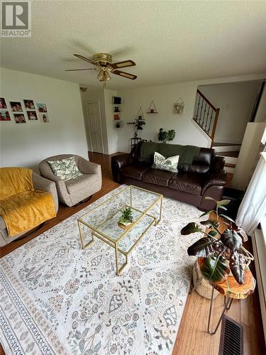 26 Third Avenue, Deer Lake, NL - Indoor Photo Showing Living Room