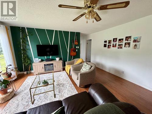 26 Third Avenue, Deer Lake, NL - Indoor Photo Showing Living Room