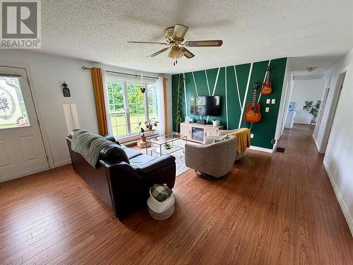 26 Third Avenue, Deer Lake, NL - Indoor Photo Showing Living Room