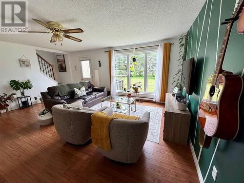 26 Third Avenue, Deer Lake, NL - Indoor Photo Showing Living Room