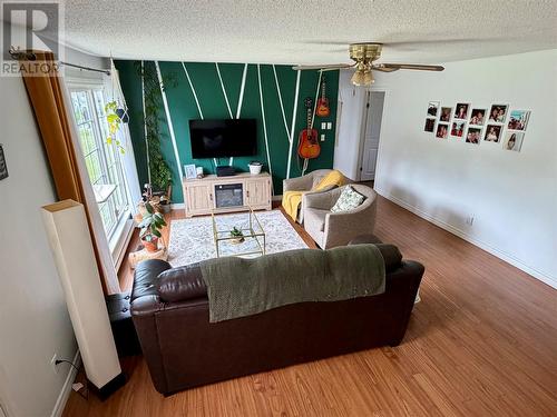 26 Third Avenue, Deer Lake, NL - Indoor Photo Showing Living Room