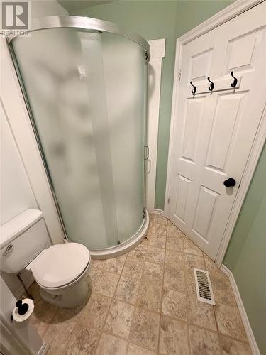 26 Third Avenue, Deer Lake, NL - Indoor Photo Showing Bathroom