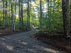 416 WHITE HOUSE ROAD Huntsville, ON P1H 2J3