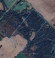 LT 10 CON 11 11th Line East Garafraxa, ON L9W 7A5