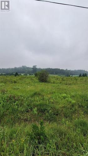 Gordon Lake Rd, Johnson Twp, ON 