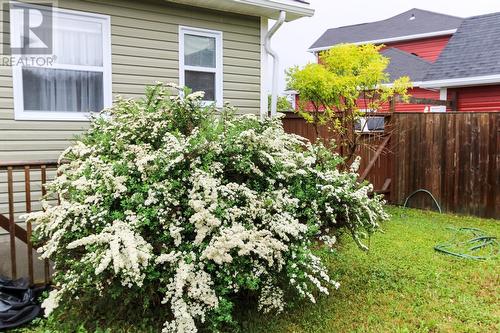 21 Eagle River Drive, Conception Bay South, NL - Outdoor With Exterior
