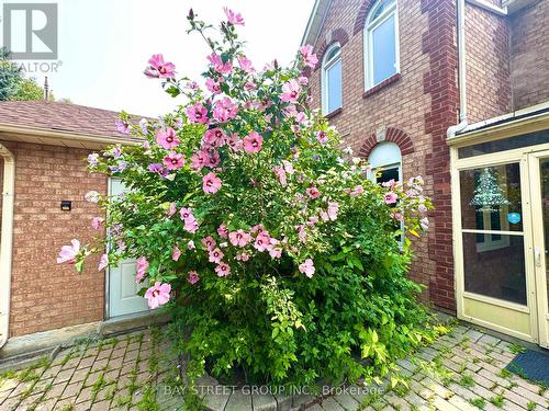 31 Cavalry Trail, Markham, ON - Outdoor