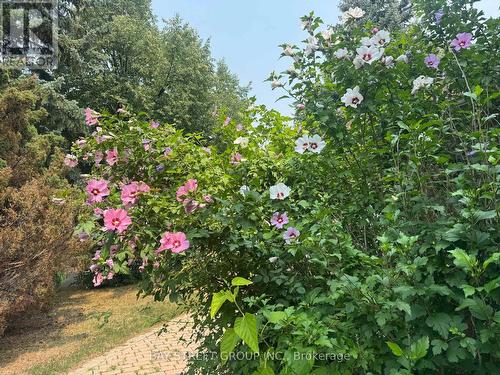31 Cavalry Trail, Markham, ON - Outdoor