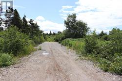 590A Main Street  Shallop Cove, NL A0N 1Z0