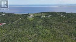 590A Main Street  Shallop Cove, NL A0N 1Z0