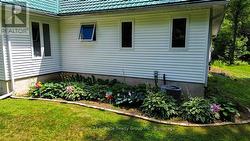 Beautiful perennial gardens - 