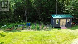 Fenced Vegetable Gardens - 