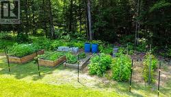 Fenced Vegetable Gardens - 