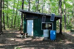 Sugar Shack - 