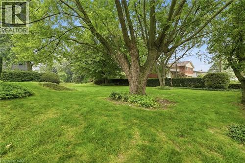 Expansive lawn featuring mature trees and established hedges - 264 Mountain Brow Boulevard, Hamilton, ON - Outdoor