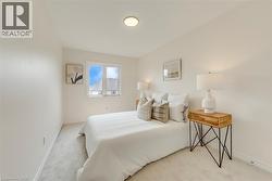 Neutral-toned bedroom featuring a double-paned window, light-colored carpeting, and a flush-mount ceiling light - 
