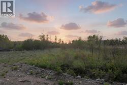 4644 BALDONNEL ROAD Fort St. John, BC V0C 1C1