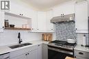 123 Samuel Street, Kitchener, ON  - Indoor Photo Showing Kitchen With Double Sink 