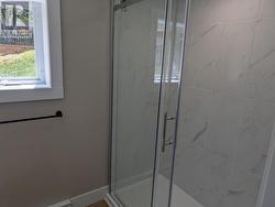 Downstairs shower - 