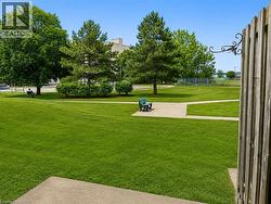 Expansive lawn with concrete pathways and mature trees - 