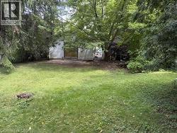 Expansive green lawn surrounded by mature trees - 