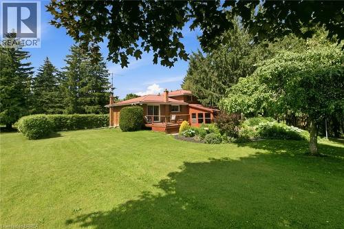 Expansive green lawn with mature trees and established perimeter hedging - 1598 Highway No 6, Hamilton, ON - Outdoor