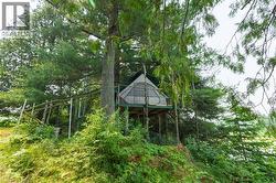 ""Treehouse"" - 