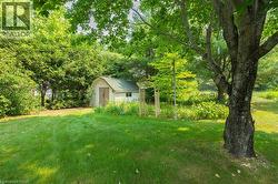 Expansive green lawn with mature trees and a rustic shed with a gambrel roof - 