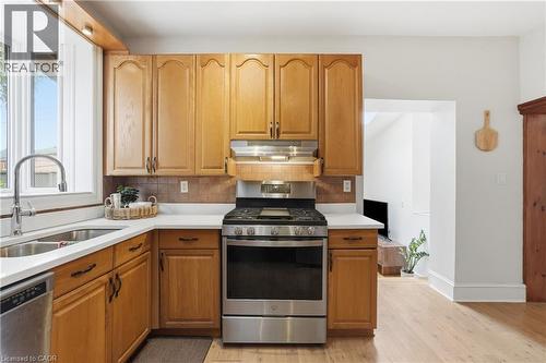 356 Hughson Street, Hamilton, ON - Indoor Photo Showing Kitchen With Double Sink