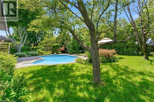 302 Harmony Road, Hamilton, ON - Outdoor With In Ground Pool With Backyard