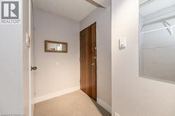 Entryway featuring a wood-finish door, light-colored carpeting, white baseboards, and a recessed wall niche - 