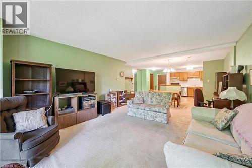 Expansive living area with light-toned carpeting and light green wall finishes - 4 Albert Street Unit# 105, Cambridge, ON - Indoor Photo Showing Living Room