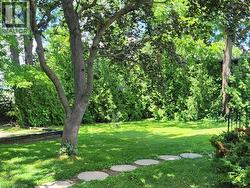 Expansive green lawn with mature trees and a privacy hedge - 