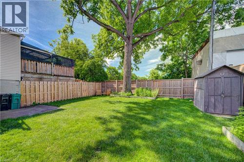 Expansive green lawn with a mature shade tree, privacy fencing, and a storage shed - 39 Kerr Street, Cambridge, ON - Outdoor
