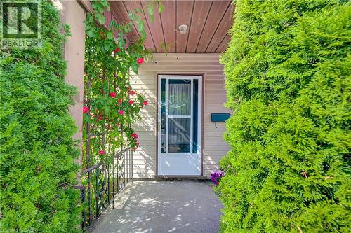 Inviting front entry featuring a white storm door, beige horizontal siding, and a covered porch with wood-finish soffit - 39 Kerr Street, Cambridge, ON - Outdoor