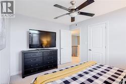 Light gray walls with white trim, a ceiling fan with brushed nickel finish and dark blades, and a textured carpeted floor - 