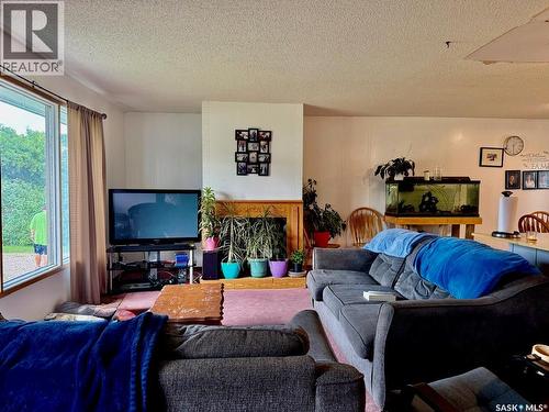 11 Vetshome Drive, Lanigan, SK - Indoor Photo Showing Living Room