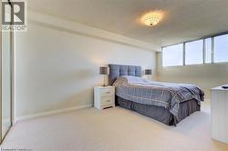 Bedroom featuring carpet flooring, a full-height window bank, a ceiling-mounted light fixture, and a mirrored closet door - 