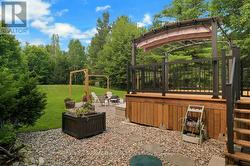 Backyard - 