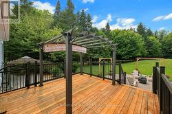 Backyard - 