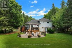 Backyard - 
