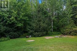 Backyard - 