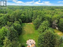 Aerial View Back - 