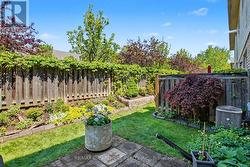 Yard - 